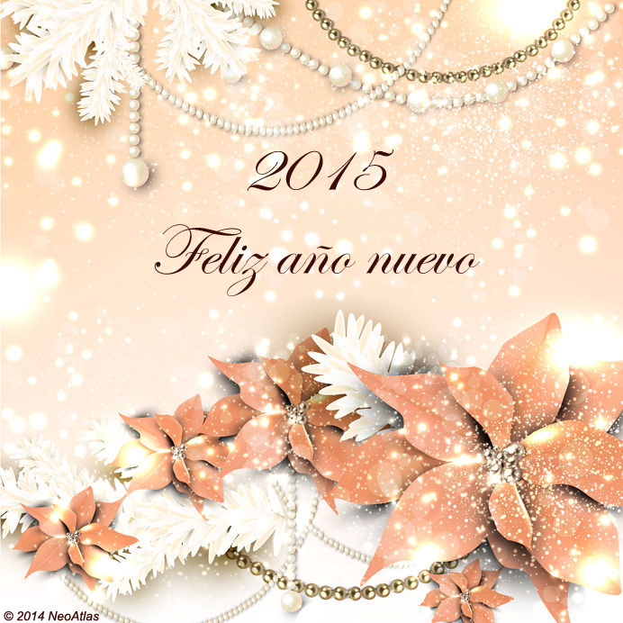 Feliz año 2015
