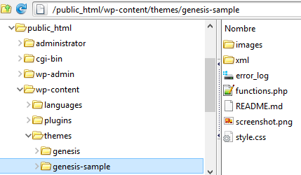 ruta FTP a genesis-sample